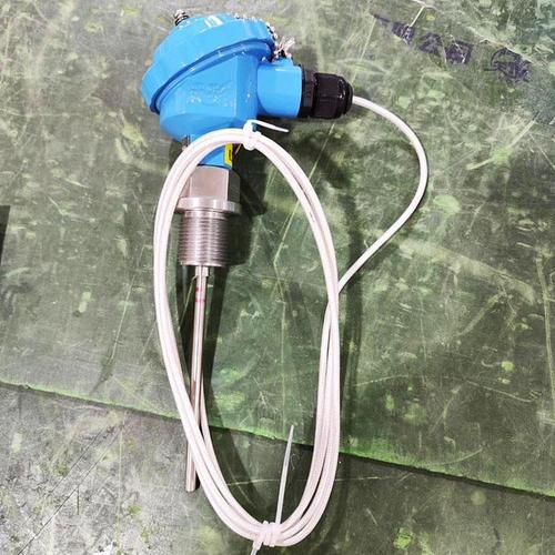 厂家直供端面热电阻 防腐耐磨型在严苛工业环境中的卓越应用